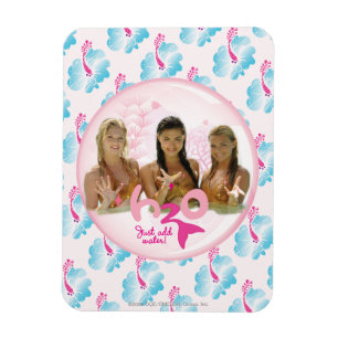 Gruppen i rosor bubblar magnet