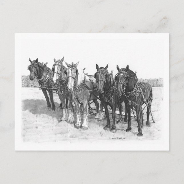 Gruppen Vykort (Framsida)