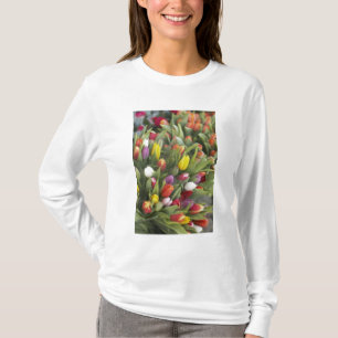 Grupper av färgrika tulpan tee