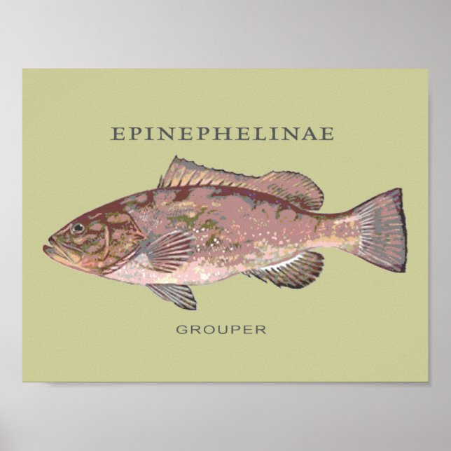 Grupperfiskillustration Poster (Framsidan)