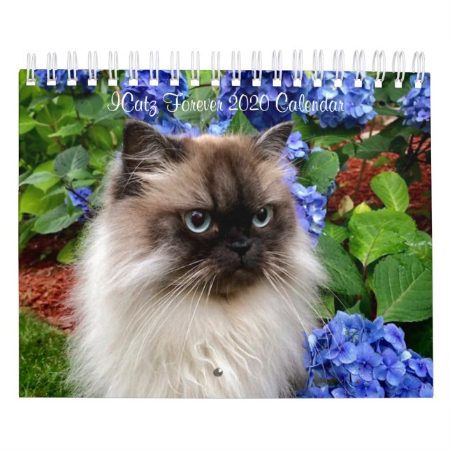Gruppkalender för ICatz för 2020 Kalender (Omslag)