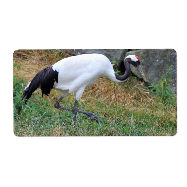 Grus japonensis fraktsedel (Framsidan)