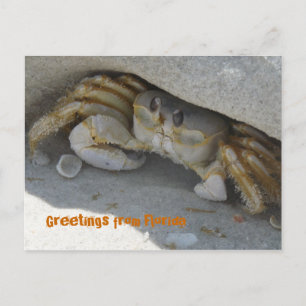 Grüße aus Florida Grußkarte Postkarte Vykort