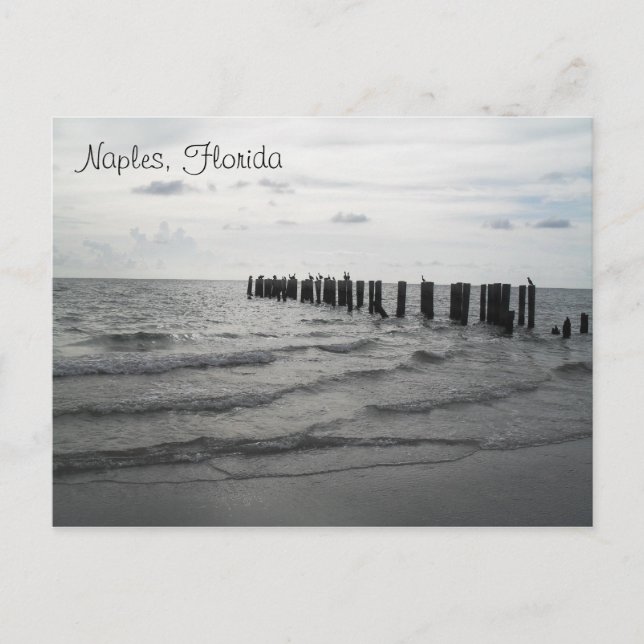 Grüße aus Florida Grußkarte Postkarte Vykort (Framsida)