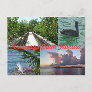 Grüße aus Florida Grußkarte Postkarte Vykort