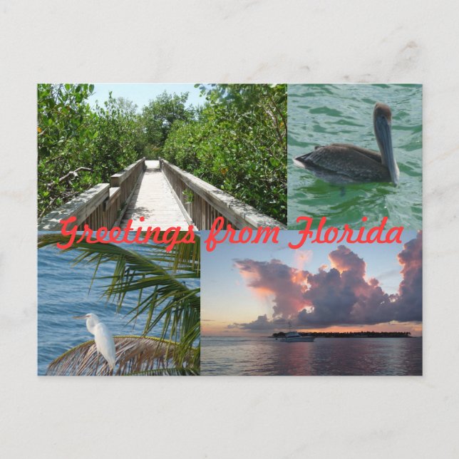 Grüße aus Florida Grußkarte Postkarte Vykort (Framsida)