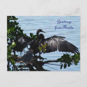 Grüße aus Florida Grußkarte Postkarte Vykort