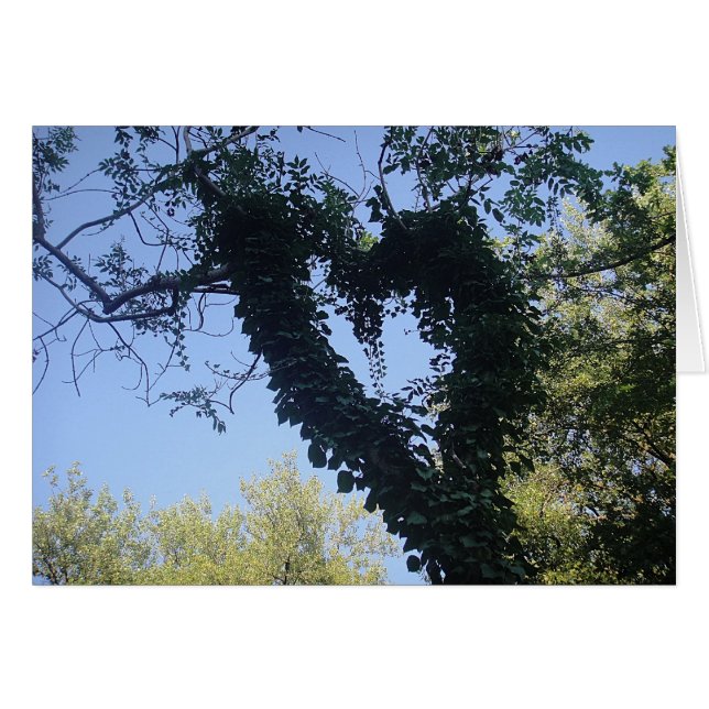 Grusskarte Baumherz, filt Hälsningskort (Framsidan Horizontal)