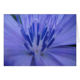 Grusskarte blaue Blütenmitte, filt Hälsningskort