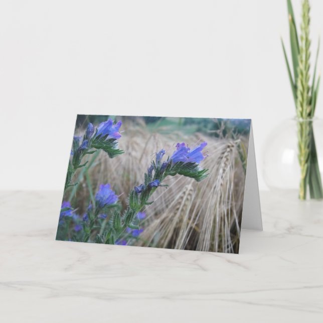 Grusskarte Kornblumen Kort (Framsida)