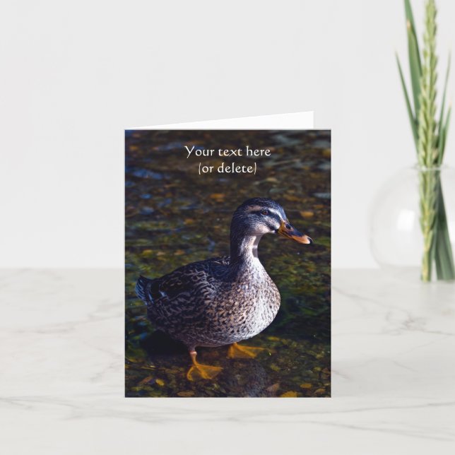 Grußkarte mit Stockente Kort (Framsida)