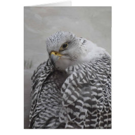 Gryfalcon - Framable Art Card Hälsningskort