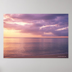 Gryning möter stranden poster