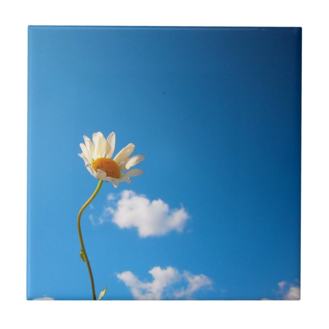 Grytunderlägg Daisy Kakelplatta (Framsidan)