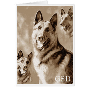 GSD-definierad OBS Kort