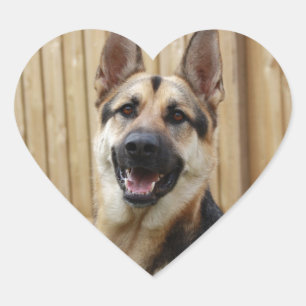 GSD Head Shot Hjärtformat Klistermärke