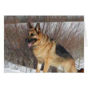 GSD i Winter Snö Hälsningskort