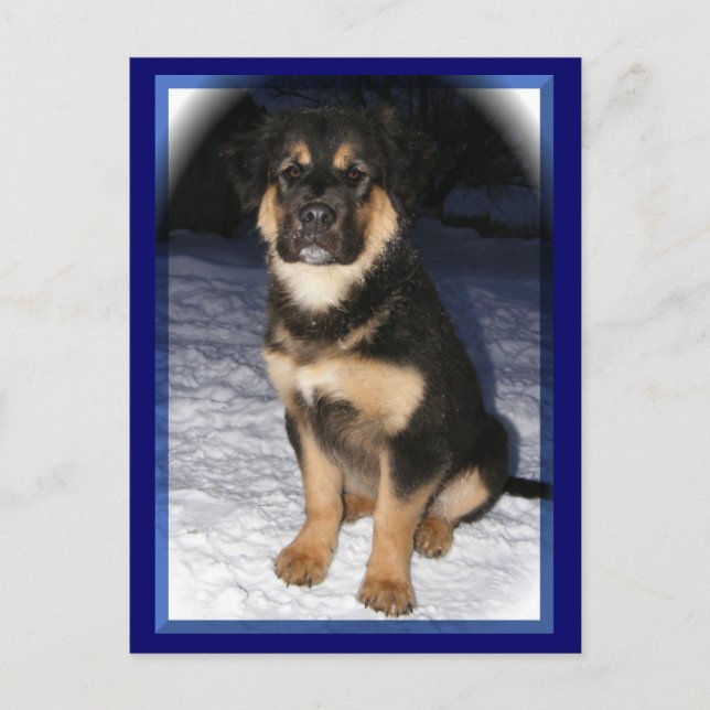 GSD Mix-vykort Vykort (Framsida)