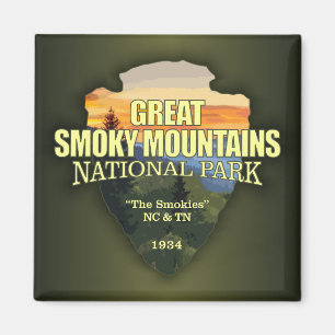 GSMNP (pilhuvud) Magnet