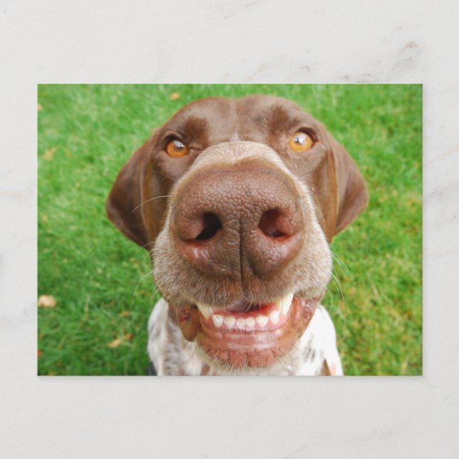 GSP Smile-vykort Vykort (Framsida)