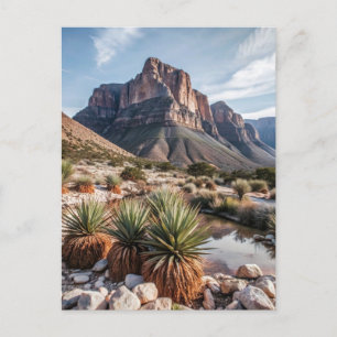 Guadalupe bergens nationalpark Travel Vykort