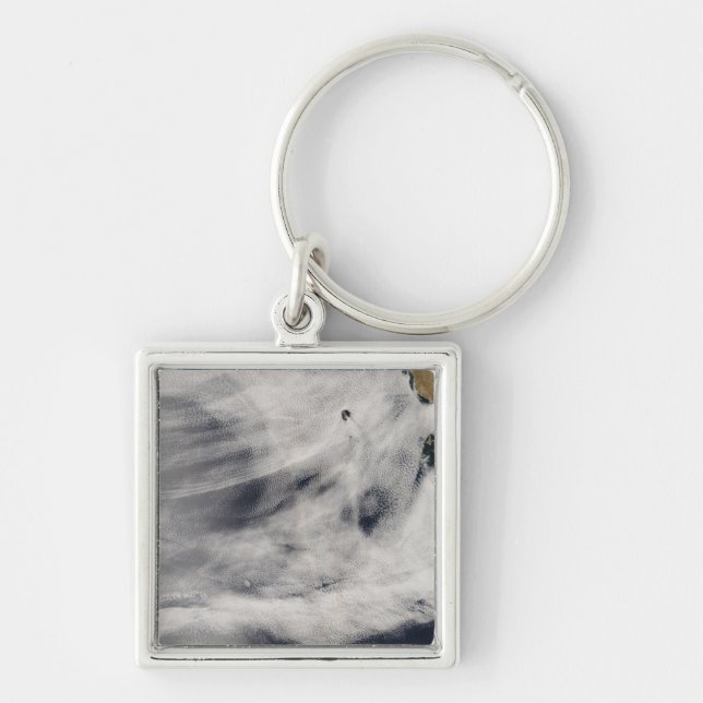 Guadalupe Island Fyrkantig Silverfärgad Nyckelring (Framsidan)