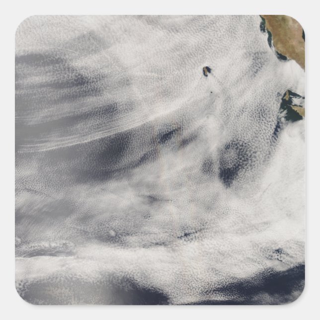 Guadalupe Island Fyrkantigt Klistermärke (Framsida)