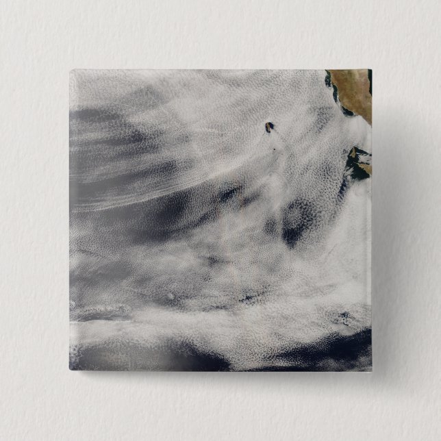 Guadalupe Island Knapp (Framsida)