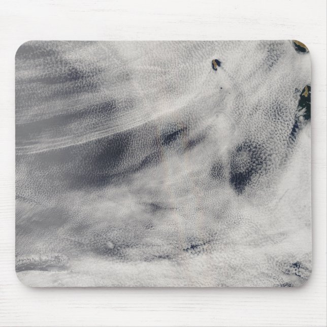 Guadalupe Island Musmatta (Framsidan)