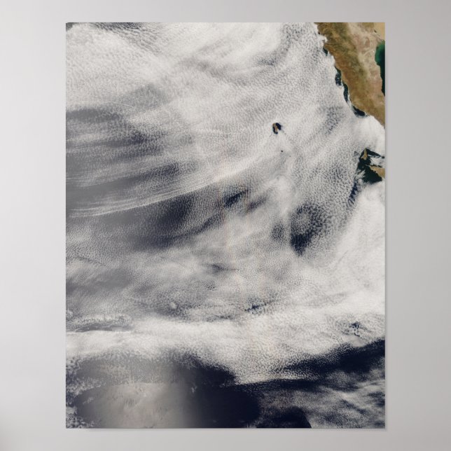 Guadalupe Island Poster (Framsidan)