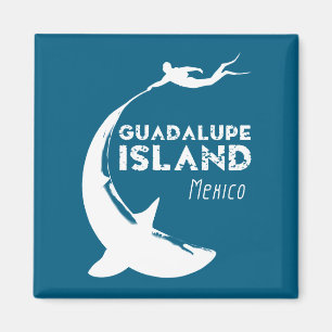 Guadalupe, Mexiko   Dyka med hajar Magnet