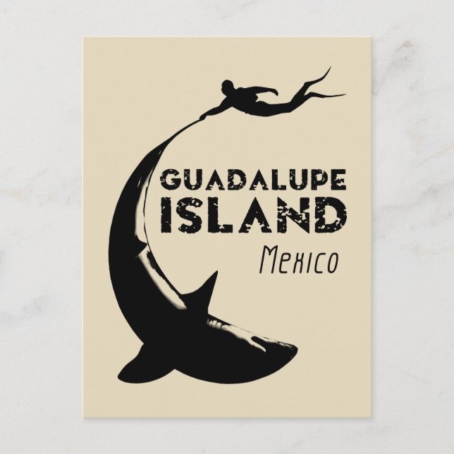 Guadalupe, Mexiko | Dyka med hajar Vykort (Framsida)