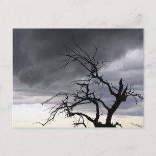 Guadalupe Storm Vykort