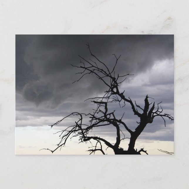 Guadalupe Storm Vykort (Framsida)