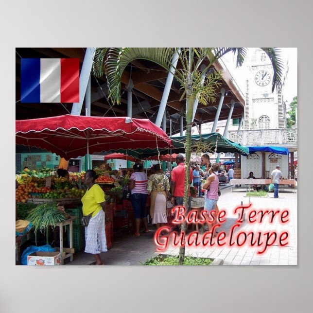 Guadeloupe - Basse Terre - Poster (Framsidan)