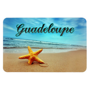 Guadeloupe-stjärnfisk Magnet