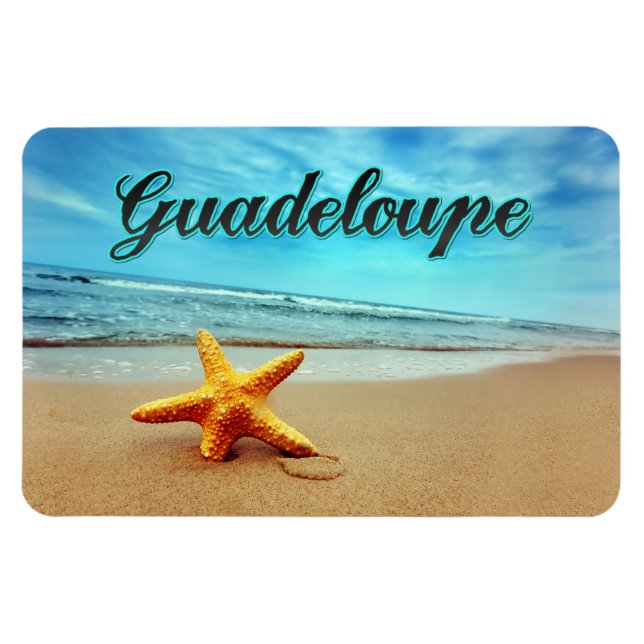 Guadeloupe-stjärnfisk Magnet (Horisontell)