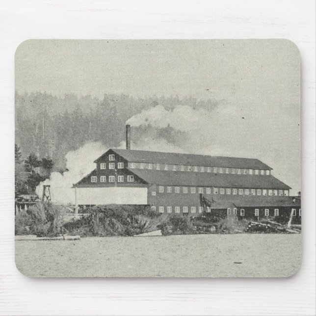 Gualala Mill, Kalifornien Musmatta (Framsidan)