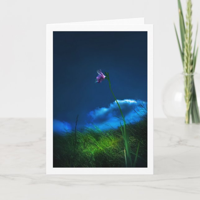 GUAM vild orchid Tack Kort (Framsida)