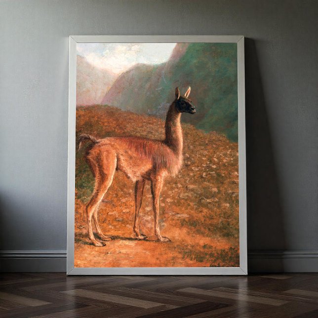 Guanaco (ca 1848), färgad av Jacques-Laurent Ag Poster (Skapare uppladdad)