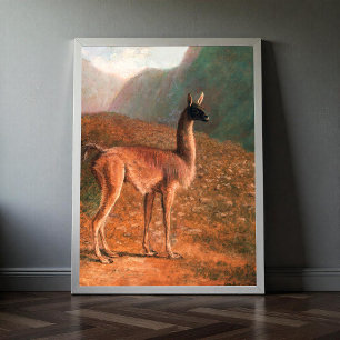 Guanaco (ca. 1848) målning av Jacques–Laurent Ag Poster