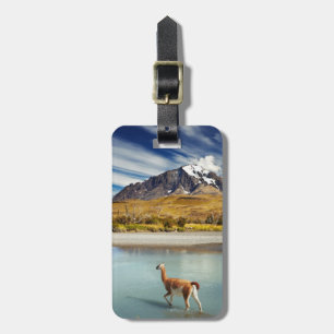 Guanaco som korsar floden i Torres del Paine Bagagebricka