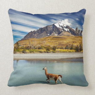 Guanaco som korsar floden i Torres del Paine Kudde