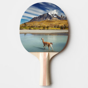 Guanaco som korsar floden i Torres del Paine Pingisracket