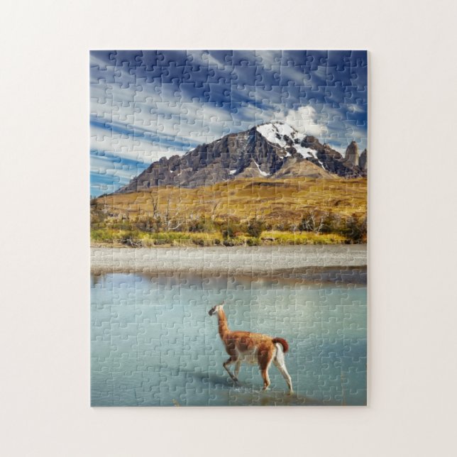 Guanaco som korsar floden i Torres del Paine Pussel (Vertikal)