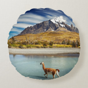 Guanaco som korsar floden i Torres del Paine Rund Kudde