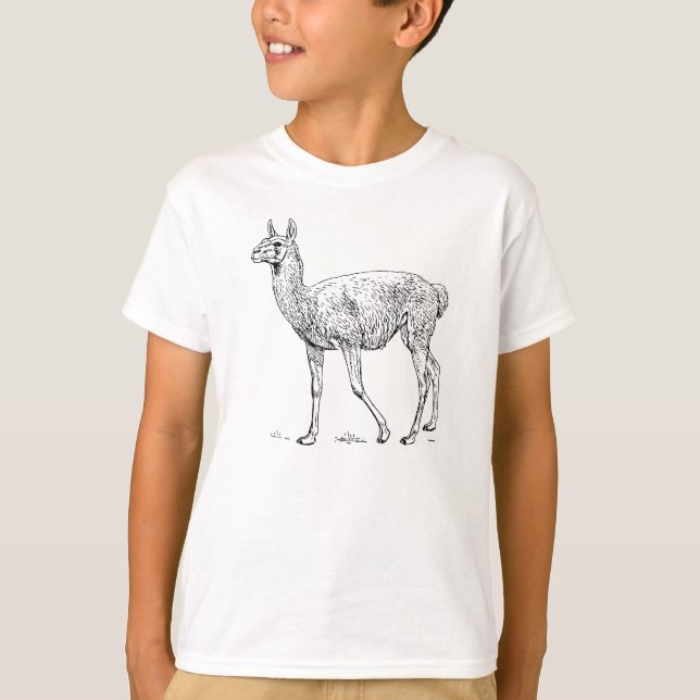 Guanaco T-shirt (Framsida)