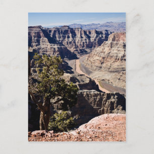 Guano pekar - postcardcopy vykort