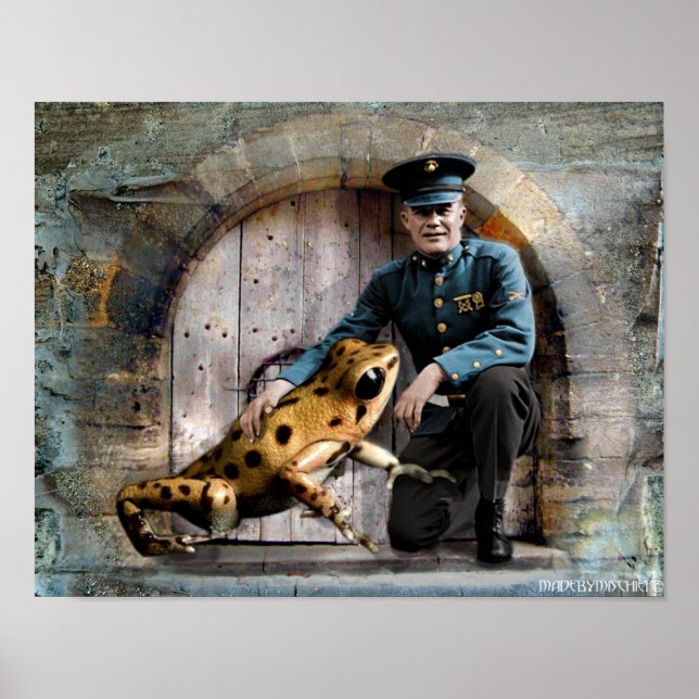 Guard Frog - poster (Framsidan)