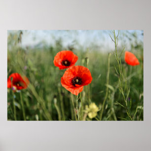 Guardationspumpor Poster